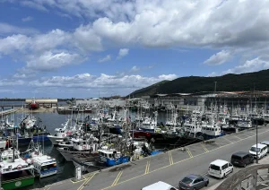 La Costera de la Anchoa en Santoña